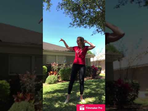 Neidringhaus: Dance Lesson, Continental Drift