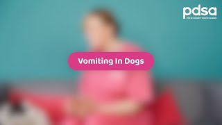 Vomiting In Dogs | Pet Health Advice by PDSA 2,993 views 1 year ago 1 minute, 53 seconds