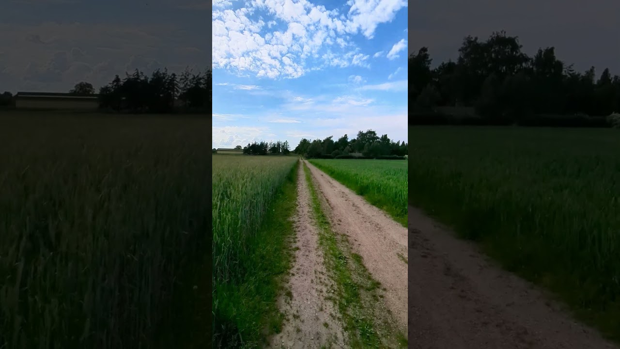 Nature - 05-06-2024 - Denmark - 