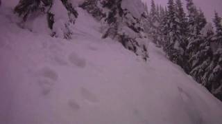 Ryan Tiene: Whistler Pow Blog Feb 15 2010