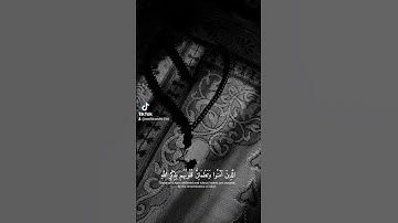 القارئ عبد الرحمن  مسعد  - سورة الرعد الآية ٢٨ { أَلَا بِذِكْرِ اللَّهِ تَطْمَئِنُّ الْقُلُوبُ }#fyp