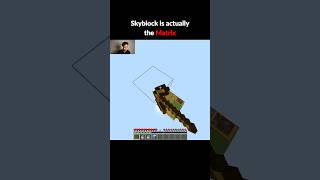 Skyblock is actually the Matrix?