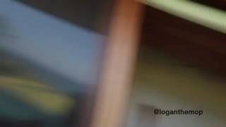 Chlogan Is Real Chloe Bennet And Logan Paul Actual Video