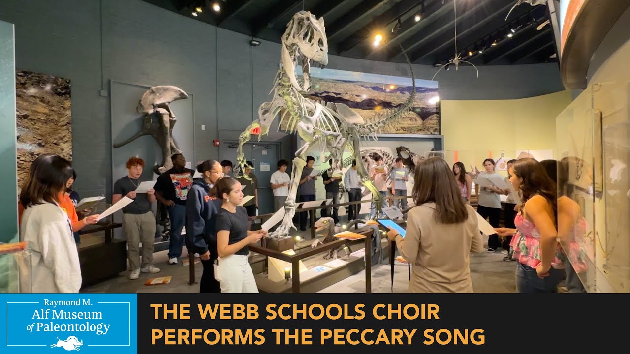 The Webb Schools Choir Performs the Peccary Song