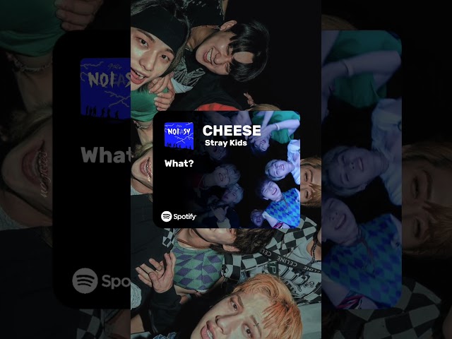 CHEESE - Stray Kids spotify lyric edit #naywies #skz #shorts class=