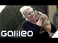 Die verrücktesten Haustierbesitzer Deutschlands | Galileo Lunch Break