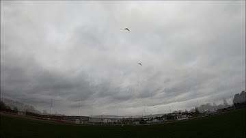 Little arrow HQ KITES