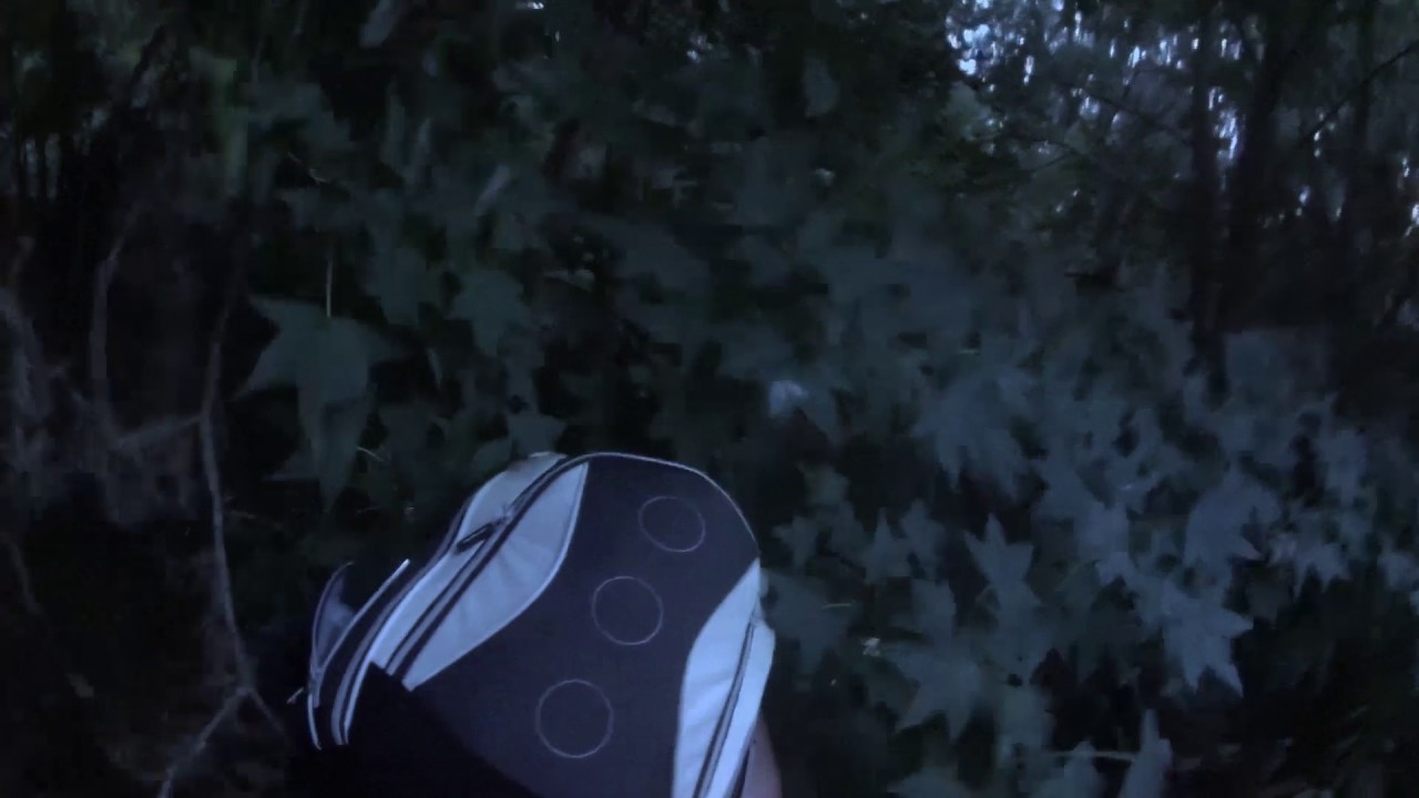 The final birdhouse trailer
