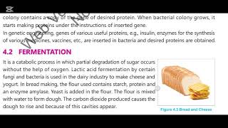 Biotechnology, introduction of gene into bacterium, applications of Biotechnology and products.