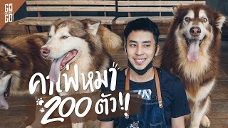 คาเฟ่​ที่มี​น้องหมา 200​ ตัว!! แถมแมว​ และ​หมูแคระ​ | Gowentgo​ Vlog