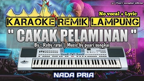 CAKAK PELAMINAN - KARAOKE REMIX LAMPUNG - NADA PRIA