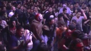 Los Plantronics - Hieronymus Bosch Live!