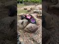 rc crawler