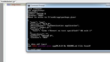 External Module Install, Update, Remove via NPM: Node.js