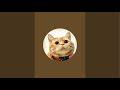 猫TEAの癒しTime がライブ配信中!