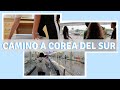 CAMINO A COREA DEL SUR | Aeropuerto & Dormitorio Coreano