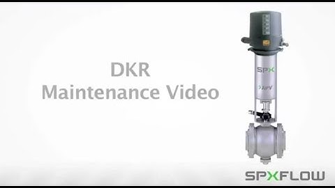 DELTA DKR Double Seat Ball Valve Maintenance Procedures - APV