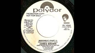 James Brown – Bodyheat (Promo 45 Mono Mix) - YouTube