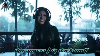 Dj Ramezz - Amina - Lovely Lie 2023