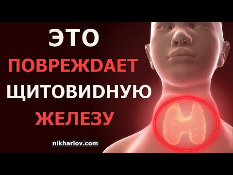 Что повреждает щитовидную железу напрямую. Причины первичного гипотиреоза, замедления обмена веществ