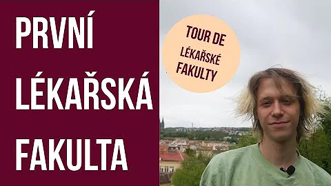 Jaká je cena školného v USA?