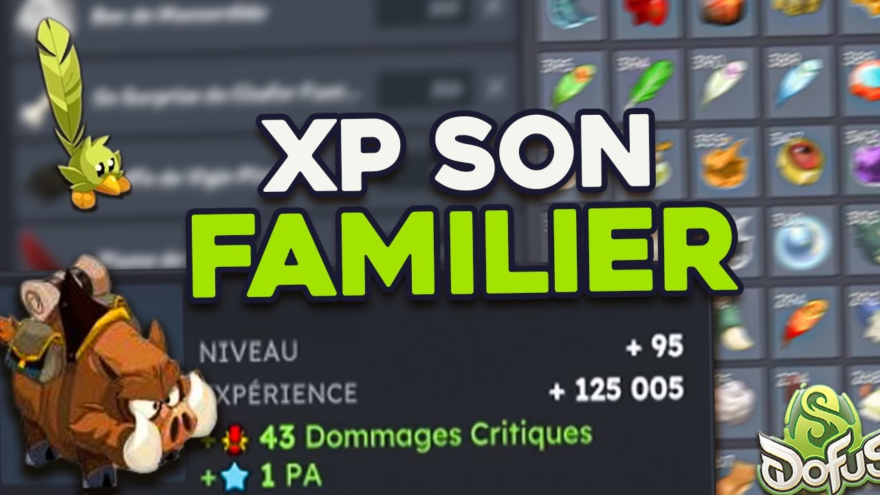 COMMENT XP SON FAMILIER EFFICACEMENT SUR DOFUS UNITYT