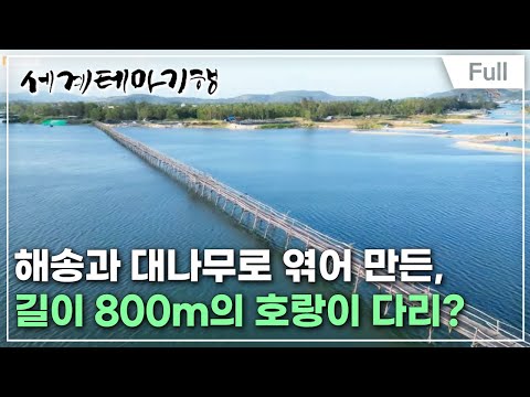 [Full] 세계테마기행  뜨고 있는 베트남 중부- 푸옌은 처음이라