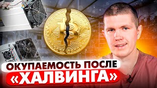 ОКУПАЕМОСТЬ ПОСЛЕ "ХАЛВИНГА" | ЧТО СТАЛО С ДОХОДОМ?