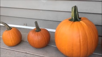 Visual Elements and Image Composition in Time Based Media