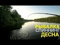 ПОКЛЕВКА ЗА ПОКЛЕВКОЙ! В ЭТОЙ РЕКЕ КУЧА РЫБЫ! Десна. Спиннинг с лодки.