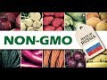 After Banning GMO, Russia On Track To Become The World’s Biggest Exporter of Organic Non-GMO Food