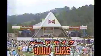 The Great Quartet - Bird Like (Budweiser Newport Jazz Festival in Madarao 1983) The Great Quartet - Bird Like (Budweiser Newport Jazz Festival in Madarao 1983)