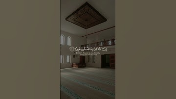 من الأية 1 إلى الأية 3 من سورة الأحزاب 🎧
