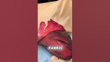 The Traditional Japanese Art of Printing