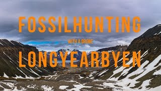 Fossilhunting in Longyearbyen | Travel Film from Svalbard With Drone
