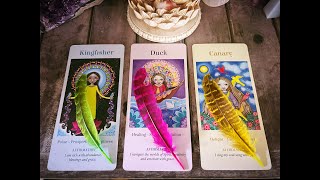 🪶 Pick a Feather! - What does spirit want you to know? 🪶 by Tarot with Amber 8,961 views 6 months ago 1 hour