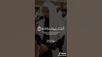 تلاوة عطرة ما تيسر من سورة النبأ بصوت القارئ الشيخ ابو بكر الشاطري القران الكريم