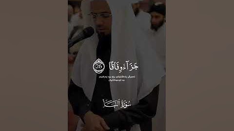 تلاوة عطرة ما تيسر من سورة النبأ بصوت القارئ الشيخ ابو بكر الشاطري القران الكريم