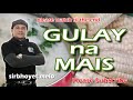 GULAY na MAIS