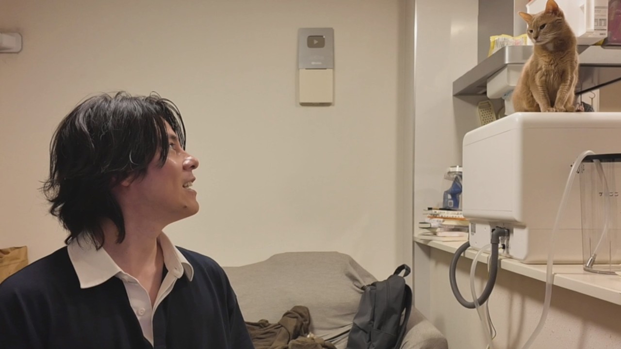 生活が安定している素晴らしい人生