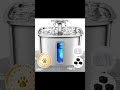 Cat water fountain review: stainless steel automatic pet hydration