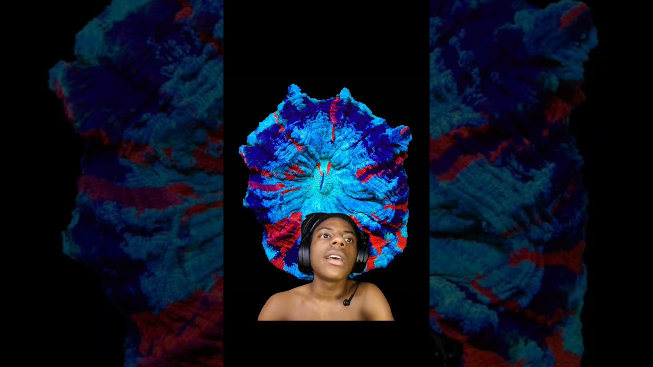 The Most Beautiful Coral