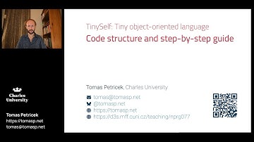 TinySelf 6.4 - Code structure and step-by-step guide