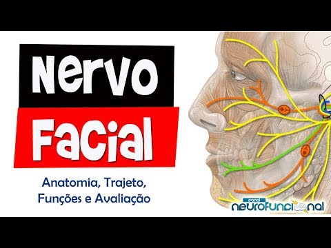 Vídeo: Nervo Facial - Tratamento Do Nervo Facial Com Remédios E Métodos Populares