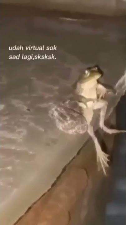 katak bhizer #shorts #katakbhizer #meme