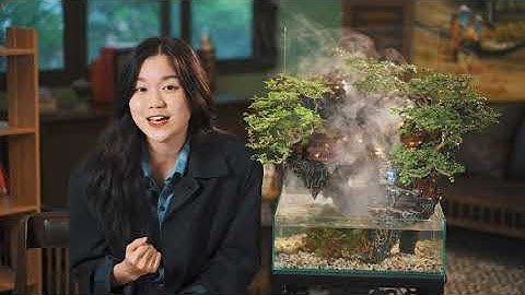 Tiểu cảnh công nghệ Thiên Mộc |  Review Mẫu Bích Thủy Nhai