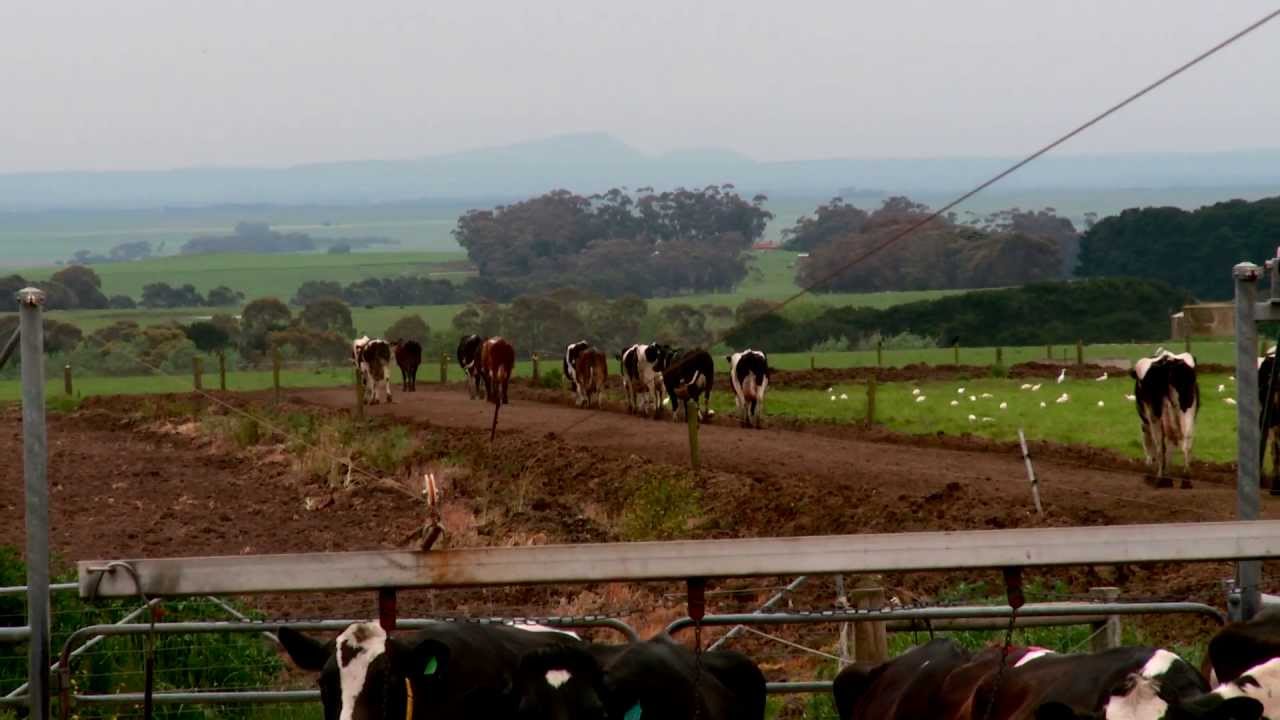 Heritage Seeds corporate video for HD YouTube