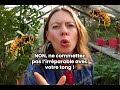 Pourquoi les guêpes sont nos meilleures amies ? @TaMereNature nous explique