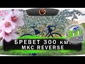 Бревет 300 км. Минская кругосветка Реверс. Belarus randonneurs club. (МКС300) BRM 300 km.