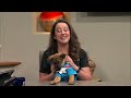 Find adoptable pets and fun activities at Animal Humane's DogiCon